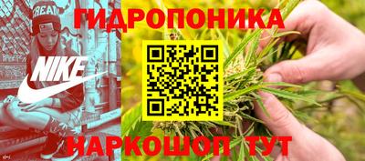 прущие грибы Кулебаки