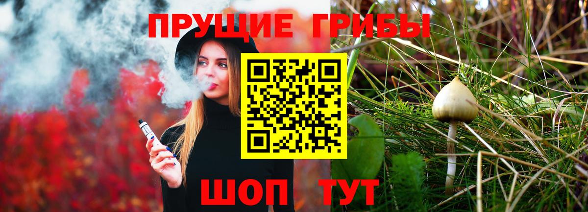 Галлюциногенные грибы Cubensis Иваново